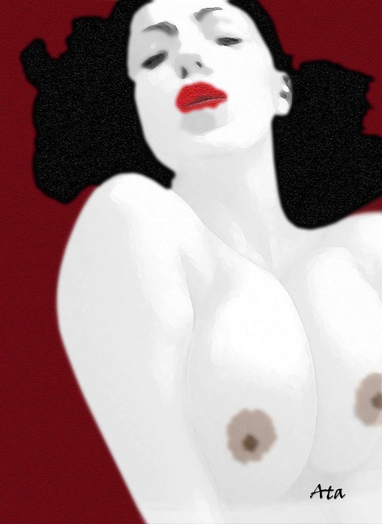 Rouge Noir — Ata Irvani